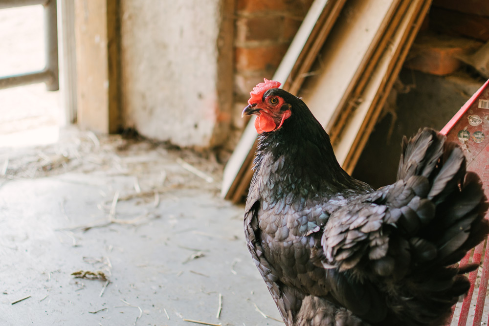 20180811_WinnersCircle_0002